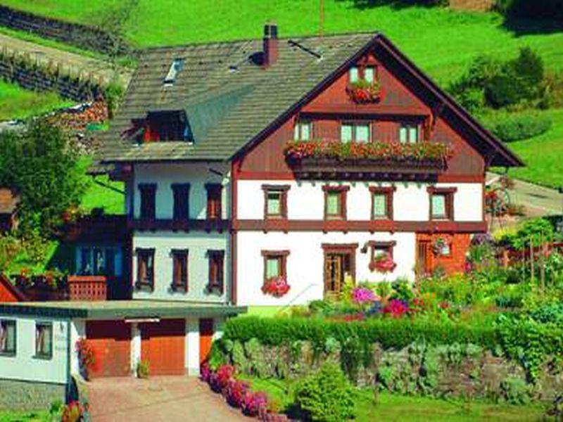 Gaestehaus Heimenberg Bad Rippoldsau-Schapbach Kültér fotó