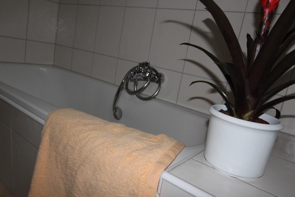 Gaestehaus Heimenberg Bad Rippoldsau-Schapbach Kültér fotó