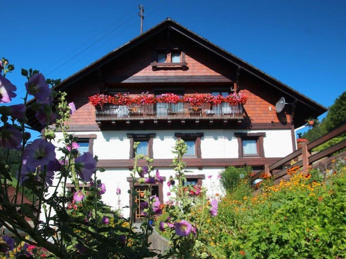 Gaestehaus Heimenberg Bad Rippoldsau-Schapbach Kültér fotó