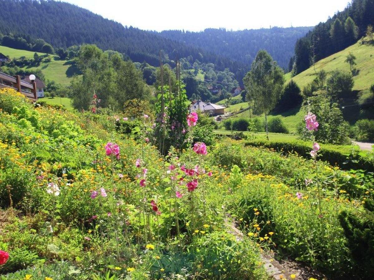 Gaestehaus Heimenberg Bad Rippoldsau-Schapbach Kültér fotó
